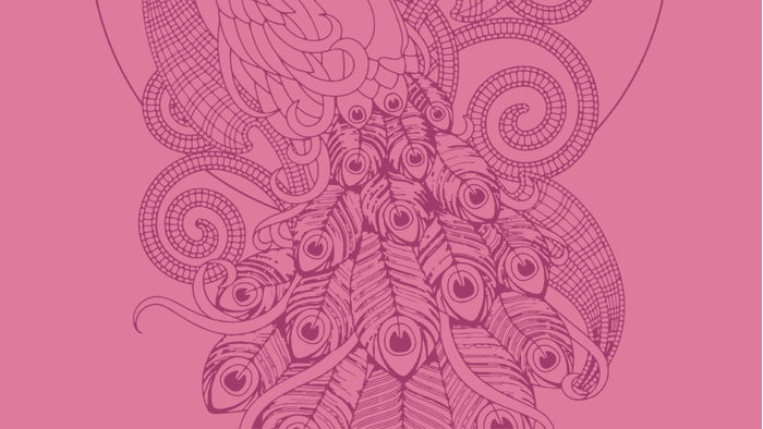 Intricate line art of a peacock with ornate, detailed feathers and swirling patterns, all illustrated in shades of pink on a pink background.